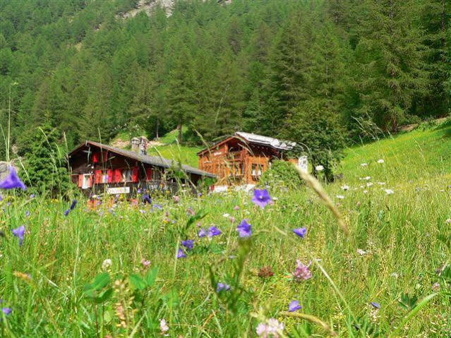 Apartament Haus Alpenperle Saas-Almagell Zewnętrze zdjęcie